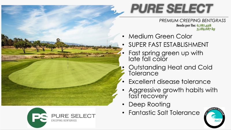 Tee2Green PP14