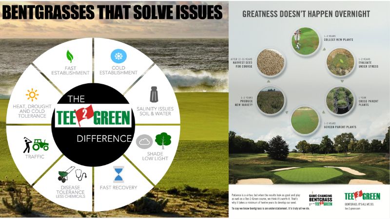 Tee2Green PP4