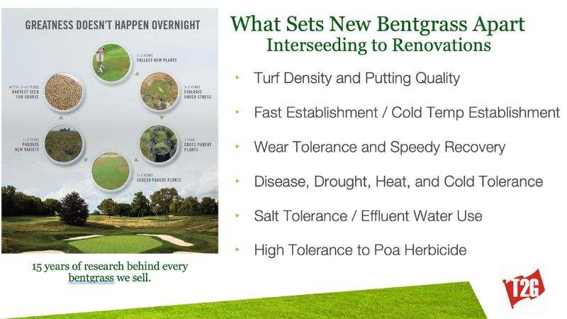 Tee2Green PP6