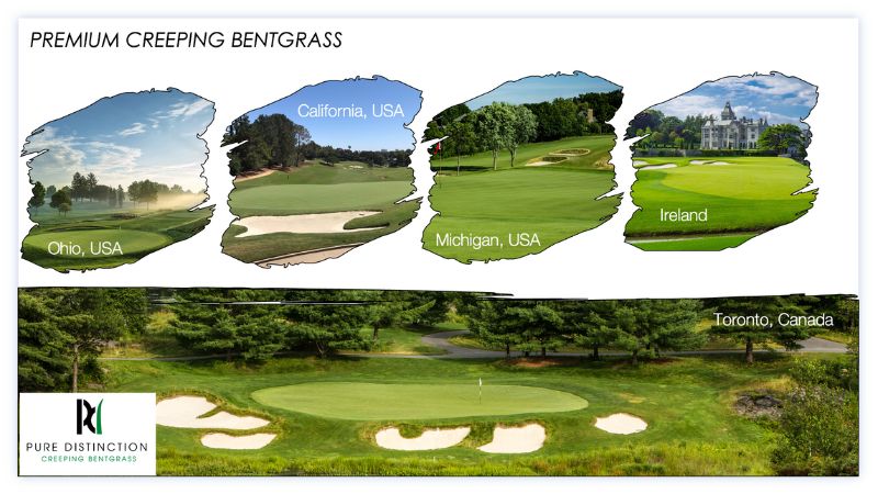 Tee2Green PP8