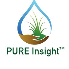 Pure insight
