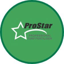 prostar logo